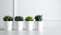 Succulent plants in pots on grey table. Space for text Royalty Free Stock Photo