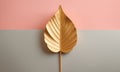 Gold Leaf Plant on Pink and Gray Backdrop for Modern Minimalist Decor â Studio Still Life Royalty Free Stock Photo