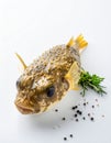 Photo of a prepared blowfish against white background Royalty Free Stock Photo