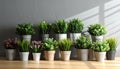 Many different artificial plants in flower pots on wooden table near grey wall Royalty Free Stock Photo