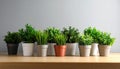 Many different artificial plants in flower pots on wooden table near grey wall Royalty Free Stock Photo