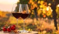 Glasses of red wine against blurred background, closeup. Romantic dinner Royalty Free Stock Photo