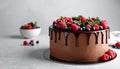 Fresh delicious homemade chocolate cake with berries on gray table Royalty Free Stock Photo