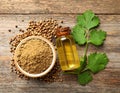 Coriander essential oil, powder, seeds and green leaves on wooden table, top view Royalty Free Stock Photo
