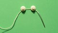 White buttons with thread and needle arranged on green background forming abstract face composition Royalty Free Stock Photo