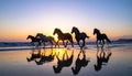 Silhouettes of six horsemen running along a beach at dusk. Ultra-wide shooting, calm Royalty Free Stock Photo