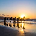 Silhouettes of six horsemen running along a beach at dusk. Ultra-wide shooting, calm Royalty Free Stock Photo