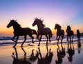 Silhouettes of six horsemen running along a beach at dusk. Ultra-wide shooting, calm Royalty Free Stock Photo
