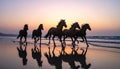 Silhouettes of six horsemen running along a beach at dusk. Ultra-wide shooting, calm Royalty Free Stock Photo