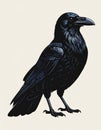 Illustration of a black crow with detailed feathers. The crow stands on a light background Royalty Free Stock Photo