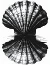 Black and white scallop shell icon reflective. Thumbnail isolated in background Royalty Free Stock Photo