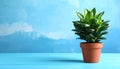 Beautiful green houseplant in pot on light blue wooden table, space for text. Royalty Free Stock Photo