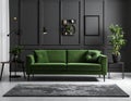 Living room with comfortable green sofa. Interior design Royalty Free Stock Photo