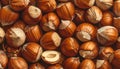 Pile of Hazelnuts Royalty Free Stock Photo