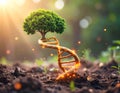 DNA Tree of Life Royalty Free Stock Photo