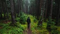 High angle view of a lonely man, walking throght the forest, on a rainy day with copy Royalty Free Stock Photo