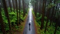 High angle view of a lonely man, walking throght the forest, on a rainy day with copy Royalty Free Stock Photo