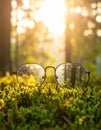 Glasses against the beautiful forest. View more clearly through the lenses. Royalty Free Stock Photo