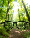 Glasses against the beautiful forest. View more clearly through the lenses. Royalty Free Stock Photo