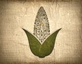 Symbolic Corn with Ancient Glyphs on Vintage Parchment Royalty Free Stock Photo