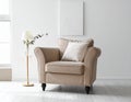 Soft armchair with pillow in light room Royalty Free Stock Photo