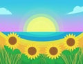 late summer warmth: golden fields, sunflowers, or a serene sunset over the ocean. Royalty Free Stock Photo