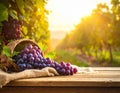 Fresh ripe grapes on a wooden table, covered Royalty Free Stock Photo