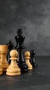 Different chess pieces on dark background. Space for text Royalty Free Stock Photo