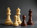 Different chess pieces on dark background. Space for text Royalty Free Stock Photo