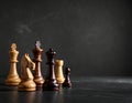 Different chess pieces on dark background. Space for text Royalty Free Stock Photo