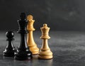 Different chess pieces on dark background. Space for text Royalty Free Stock Photo