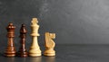 Different chess pieces on dark background. Space for text Royalty Free Stock Photo