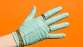 A stylish hand donning a mint-colored glove showcases a chic ring and gold chain Royalty Free Stock Photo