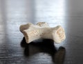 Animal Astragalus Bone or Knucklebone on a Reflective Surface Royalty Free Stock Photo