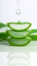 Close-up of a sliced Aloe vera leaf on a wooden surface. Royalty Free Stock Photo