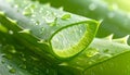 Close-up of a sliced Aloe vera leaf on a wooden surface. Royalty Free Stock Photo