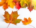 Colourful fall leaves on a nice day Royalty Free Stock Photo
