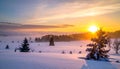 Warm cold winter sunset. Last rays of setting sun coloring the fog golden in this winter Royalty Free Stock Photo