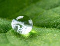 Macro drop of water. Macro photography. Green leaf with a big water drop. Royalty Free Stock Photo