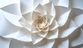 Abstract White Paper Flower Sculpture Royalty Free Stock Photo