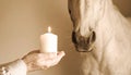 Hands, Candle, Horse Royalty Free Stock Photo