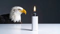 Eagle and Lighter Royalty Free Stock Photo
