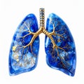 Abstract Lungs Artwork Royalty Free Stock Photo