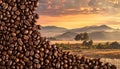 Coffee bean background. Coffee beans background on burlap Royalty Free Stock Photo