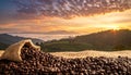 Coffee bean background. Coffee beans background on burlap Royalty Free Stock Photo