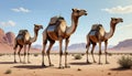 three robotic camels Royalty Free Stock Photo