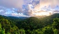 A panorama of the costa rica rain forest Royalty Free Stock Photo