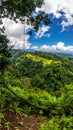 A panorama of the costa rica rain forest Royalty Free Stock Photo