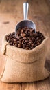 A sack of roasted coffee beans in a metal scoop studio. Royalty Free Stock Photo