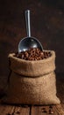 A sack of roasted coffee beans in a metal scoop studio. Royalty Free Stock Photo